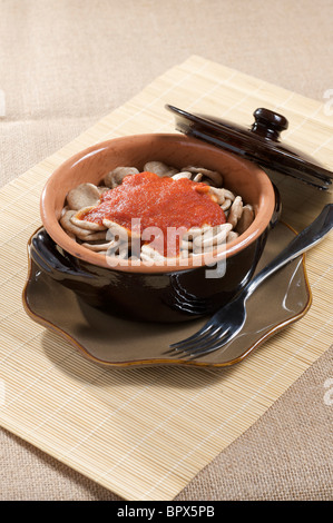 Orecchiette Nudeln mit Tomatensauce Stockfoto