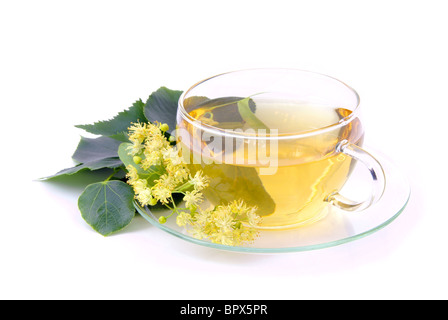 T-Stück Lindenblüte - Tee aus Lindenblüten 02 Stockfoto