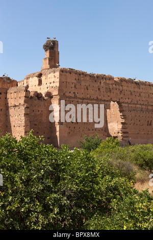 Ruinen von El-Badi-Palast, Marrakesch (Marrakech), Marokko, Nordafrika Stockfoto