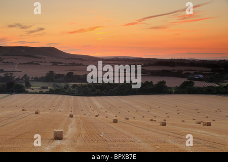 Ein Feld von Strohballen im Cuckmere Valley, der South Downs National Park, mit Firle Leuchtturm im Hintergrund, East Sussex Stockfoto