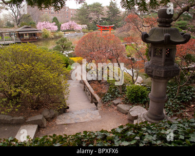 Cherry Blossoms Torii Tor Japanisch Hügels und des Teichs Garten Frühjahr Brooklyn Botanic Garden Brooklyn New York Stockfoto