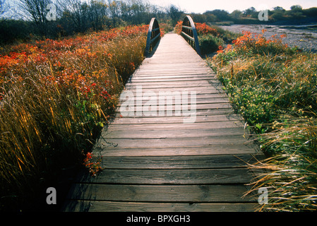 Wasserkocher-Bucht im Herbst Stockfoto