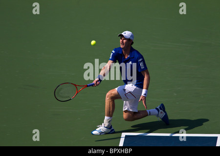 Andy Murray (GBR) im Wettbewerb bei der 2010 US Open Tennis Stockfoto