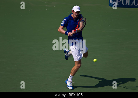 Andy Murray (GBR) im Wettbewerb bei der 2010 US Open Tennis Stockfoto