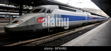 TGV-Zug in Ost-Bahnhof, Paris, Frankreich Stockfoto