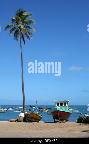 Angelboote/Fischerboote Salvador Brasilien geerdet Stockfoto