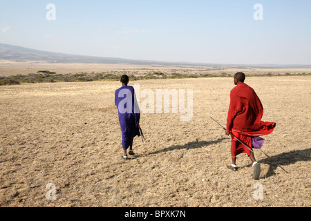 Maasai-Männer gehen in der Savanne, Ngogongoro Conservation Area, Tansania Stockfoto