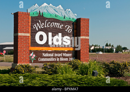 Ein Blick auf das Schild "Willkommen zu Olds" (Alberta). Stockfoto