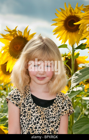 Mädchen im Sonnenblumenfeld, East Sussex, England, UK, Europa Stockfoto