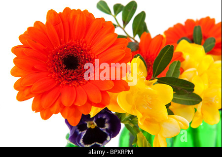 Orange Gerber und gelbe Freesie in grünen Flaschen Stockfoto