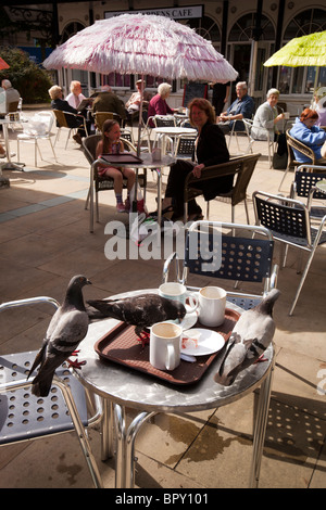 Großbritannien, England, Merseyside, Southport, Lord Street, Rathausplatz Tauben Essen Reste auf Bürgersteig Café-Tisch Stockfoto