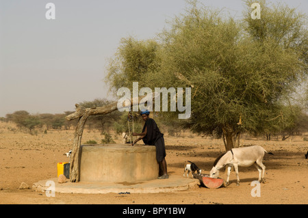 Mann holen Wasser aus einem Brunnen in der Sahel-Zone des Flusses Senegal, Senegal Stockfoto