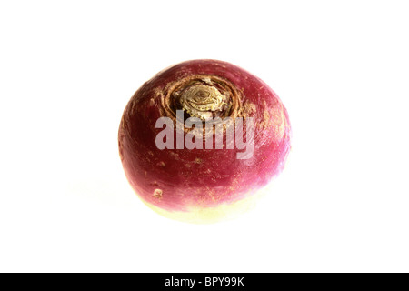 Frische, gesunde Roh ungekocht Rüben gegen einen weißen Hintergrund mit Freistellungspfaden und keine Leute Stockfoto