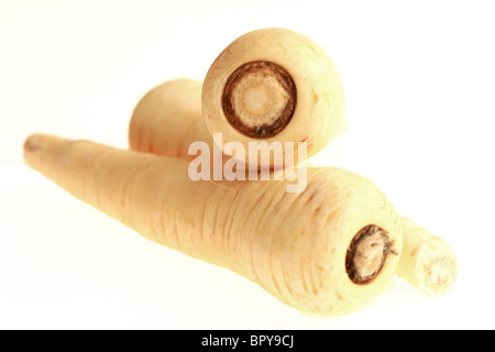 Frische, gesunde Ungekocht Raw Pastinaken gegen einen weißen Hintergrund mit Freistellungspfaden und keine Leute Stockfoto