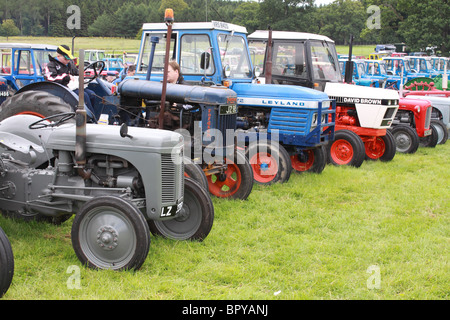 Reihe von klassischen britischen Traktoren bei einer Show in Markethill, Nordirland Stockfoto