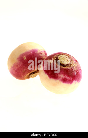 Frische, gesunde Roh ungekocht Rüben gegen einen weißen Hintergrund mit Freistellungspfaden und keine Leute Stockfoto