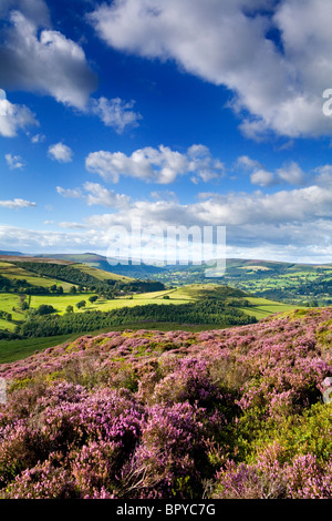 Blick vom Eyam Moor mit Blick auf die Hope Valley, Derbyshire, Peak District, England Stockfoto