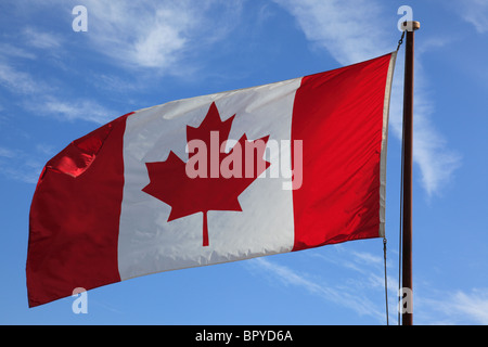 Kanadische Maple Flagge Leaf eigenen, Canada.Photo von Willy Matheisl Stockfoto