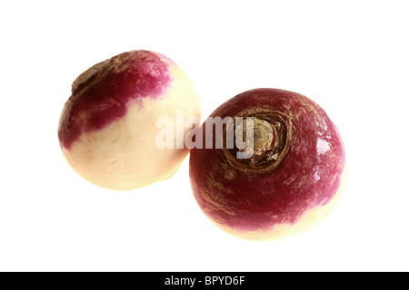 Frische, gesunde Roh ungekocht Rüben gegen einen weißen Hintergrund mit Freistellungspfaden und keine Leute Stockfoto