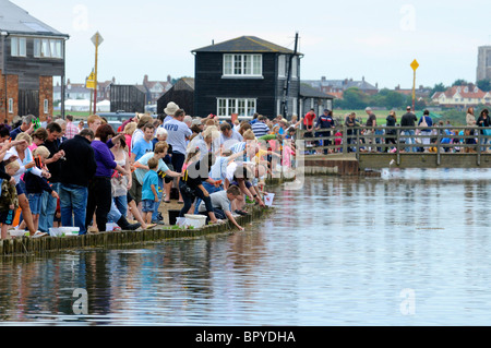 Walberswick, Suffolk. Die jährliche British Open Meisterschaft in Walberswick Verdrehungen. Stockfoto