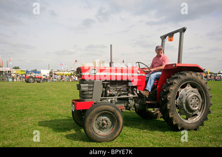 Oldtimer-Traktor Massey Ferguson 165 Stockfoto