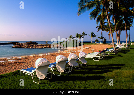 Oahu, Hawaii, Hawaii, USA, Vereinigte Staaten von Amerika - Tropical Beach Resort, Liegestühlen, Gartenstuhl entlang am Meer Stockfoto