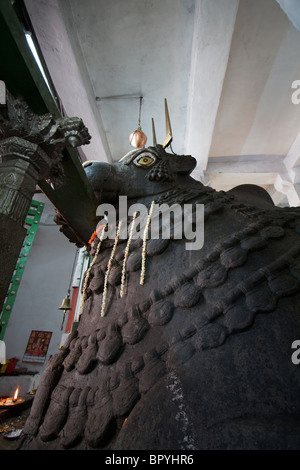 der Bull Tempel, bangalore Stockfoto