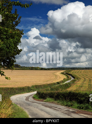 Pilger-Weg, North Downs, Kent, England, UK. Stockfoto