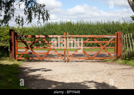 Brandneue hölzerne fünf bar Tore, Hampshire, England, Vereinigtes Königreich. Stockfoto