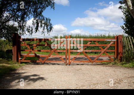 Brandneue hölzerne fünf bar Tore, Hampshire, England, Vereinigtes Königreich. Stockfoto