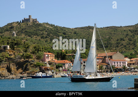 Collioure, einem malerischen Urlaubsort und Hafen an der Cote Vermeille Südfrankreich Stockfoto