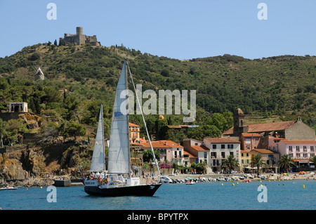 Collioure, einem malerischen Urlaubsort und Hafen an der Cote Vermeille Südfrankreich Stockfoto