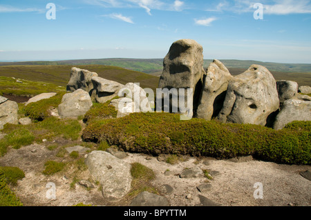 Erodierte Mühlstein Grit Aufschluss über Bleaklow, Peak District, Derbyshire, England, UK Stockfoto