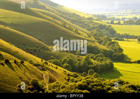 South Downs am Devils Dyke bei Brighton Sussex, England Stockfoto