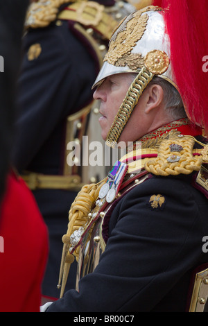 Oberst T W Browne hautnah. "Trooping die Farbe" 2010 Stockfoto