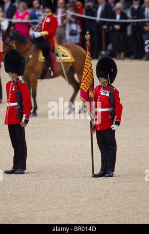 Farbe Sergeant Stephen Ross hält die Farbe. "Trooping die Farbe" 2010 Stockfoto