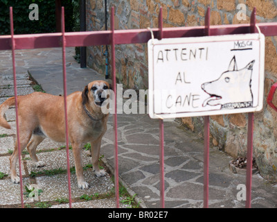 Ein Warnschild auf ein Tor, Warnung vor einem bösartigen Hund in italienischer Sprache, sagen Vorsicht des Hundes. Stockfoto