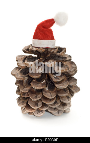 Tannenzapfen mit Weihnachtsmütze Stockfoto