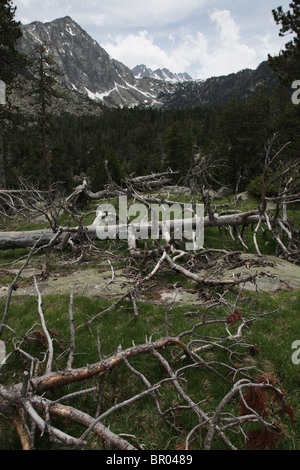 Mount Montanyo und Pic de Sudorn am Aufstieg vom Espot zur Estany Negre Sant Maurici Nationalpark Pyrenäen Spaniens Stockfoto