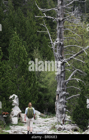 Sant Maurici Nationalpark auf die Abfahrt nach Espot von Estany Negre Refugi JM Blanc in Pyrenäen Spanien Stockfoto