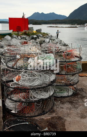 Crab fallen Stockfoto