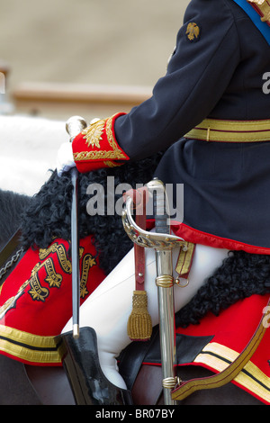 Schwert, silbernen Stock, Sattel - viele Details! "Trooping die Farbe" 2010 Stockfoto