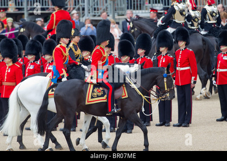 Die Royal Colonels Inspektion der Linie. "Trooping die Farbe" 2010 Stockfoto