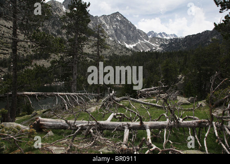 Mount Montanyo und Pic de Sudorn am Aufstieg vom Espot zur Estany Negre Sant Maurici Nationalpark Pyrenäen Spaniens Stockfoto