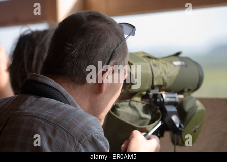 Vogelbeobachter aus innerhalb einer ausblenden oder Blind mit einem Teleskop betrachten. Stockfoto