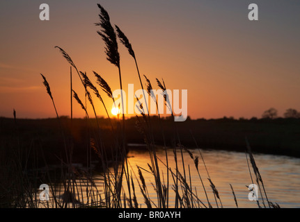 Fluß Blyth bei Sonnenuntergang Stockfoto