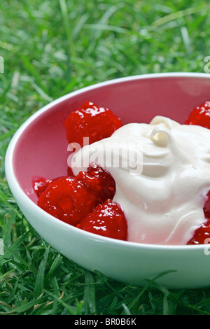 Himbeer-Dessert mit Schlagsahne in rosa Schüssel auf Rasen Stockfoto
