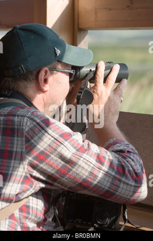 Vogelbeobachter mit dem Fernglas aus innerhalb einer ausblenden oder Blind zu sehen. Stockfoto