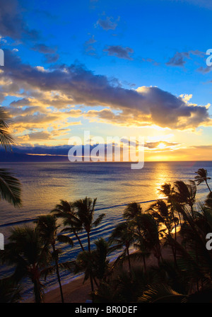 Sonnenuntergang am Kaanapali Beach auf Maui durch die Kokospalmen Stockfoto