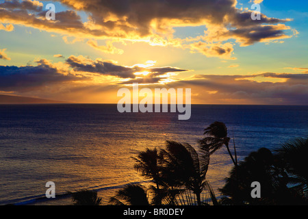 Sonnenuntergang am Kaanapali Beach auf Maui durch die Kokospalmen Stockfoto